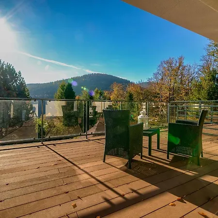 Loft View & Wellness Szczyrk