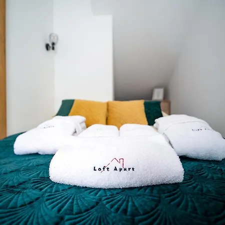 Loft View & Wellness Szczyrk