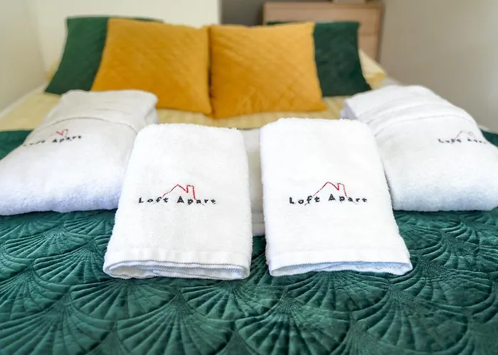 Loft View & Wellness * Szczyrk