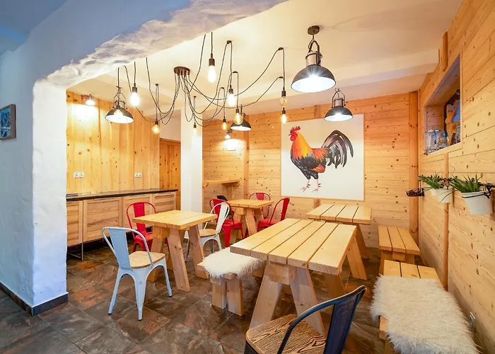 Loft View & Wellness